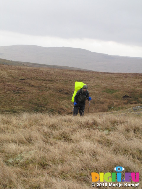 SX13316 Wouko battling the wind on Twyn Croes Gwallter